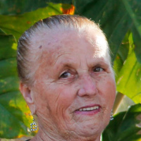 Foto Sinézia Mendes de Souza Oliveira