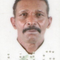 Foto José Maria Pereira dos Santos