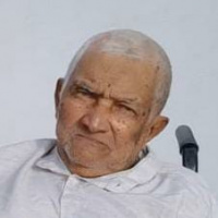 Foto Alcides Honório